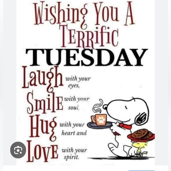 👗👗VINTAGE SHOW FRI OCT 31 8am Cashmere Wool Silk Linen👗👗 - Picture 9 of 15